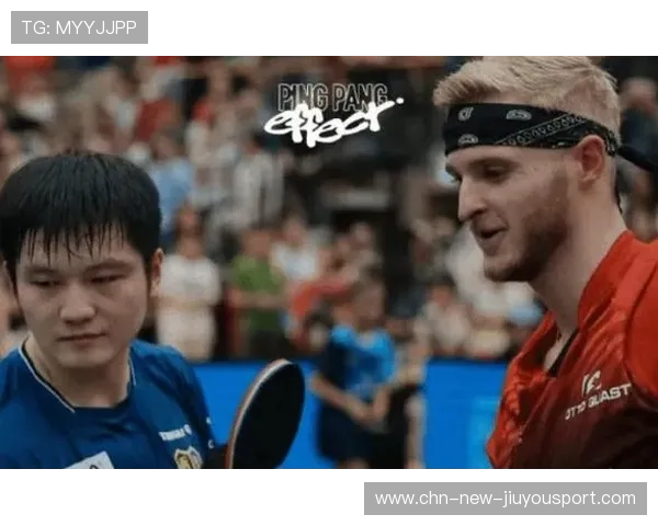 乒乓德甲俱乐部商业困境深析：欧洲观察视角，德国乒超联赛